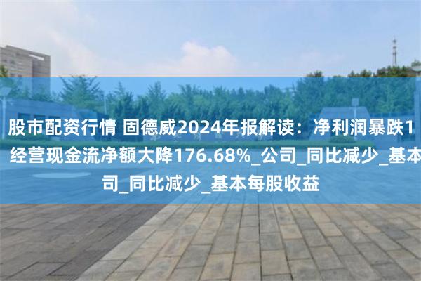 股市配资行情 固德威2024年报解读：净利润暴跌107.25%，经营现金流净额大降176.68%_公司_同比减少_基本每股收益