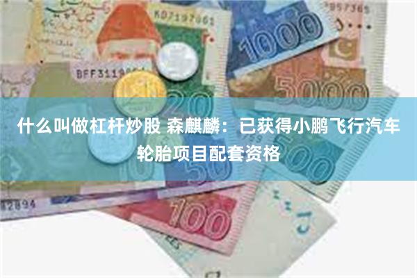 什么叫做杠杆炒股 森麒麟：已获得小鹏飞行汽车轮胎项目配套资格