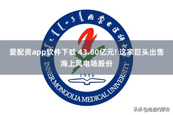 爱配资app软件下载 43.80亿元! 这家巨头出售海上风电场股份