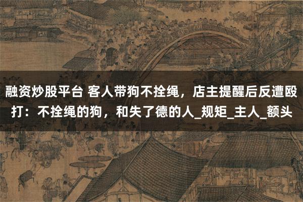 融资炒股平台 客人带狗不拴绳，店主提醒后反遭殴打：不拴绳的狗，和失了德的人_规矩_主人_额头